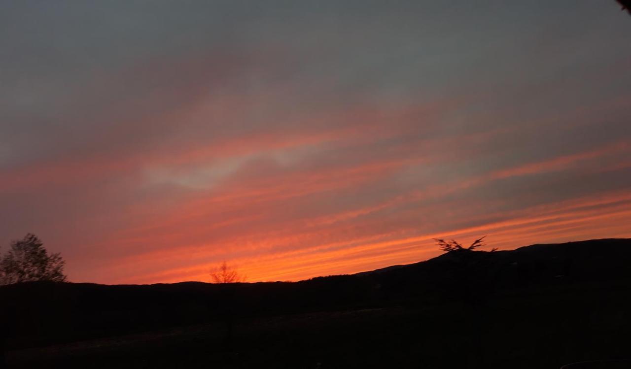 Agriturismo La Casina Rosa กามิลยาเตลโล ซีลาโน ภายนอก รูปภาพ