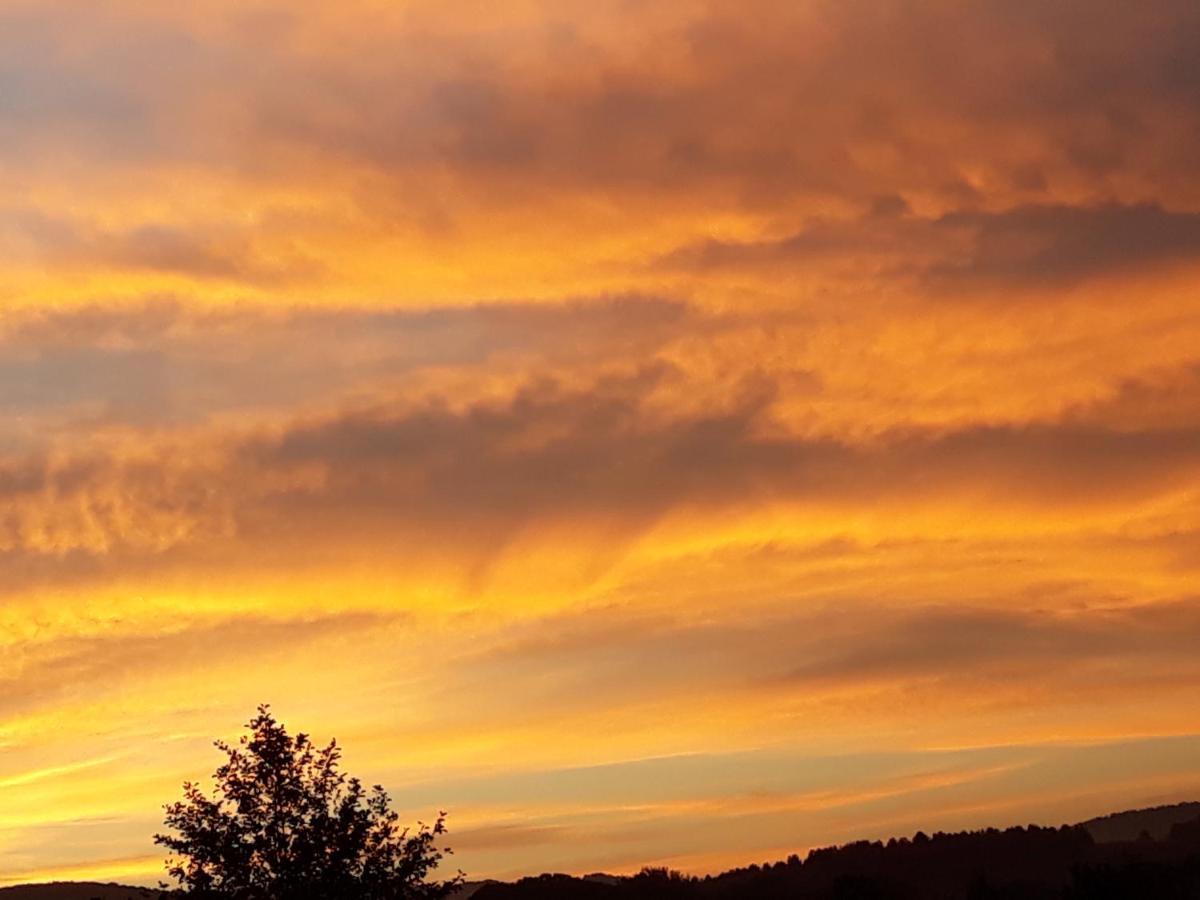 Agriturismo La Casina Rosa กามิลยาเตลโล ซีลาโน ภายนอก รูปภาพ