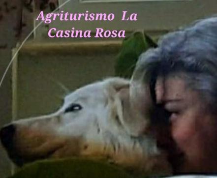 Agriturismo La Casina Rosa กามิลยาเตลโล ซีลาโน ภายนอก รูปภาพ