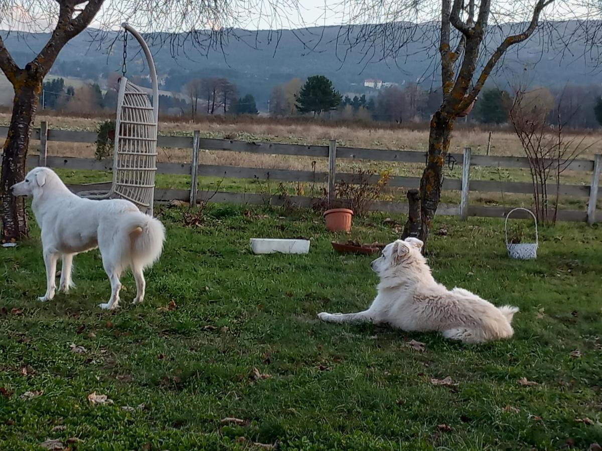 Agriturismo La Casina Rosa กามิลยาเตลโล ซีลาโน ภายนอก รูปภาพ