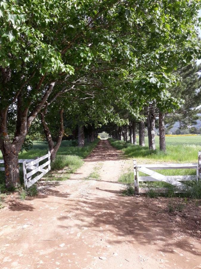 Agriturismo La Casina Rosa กามิลยาเตลโล ซีลาโน ภายนอก รูปภาพ